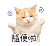 840954185