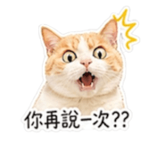 840954200