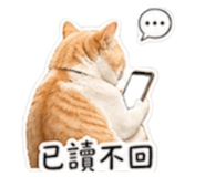 840954215