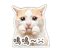 840954216