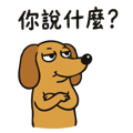 840955917