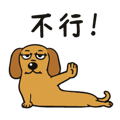 840955918