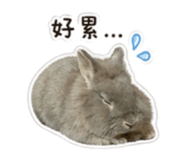 840956132