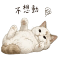 840956491