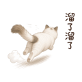 840956499