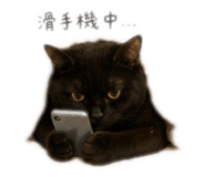 840956613