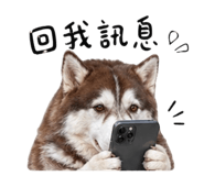 840957203
