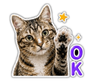 840957536