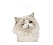 840957695