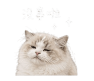 840957701