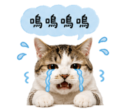 840958002