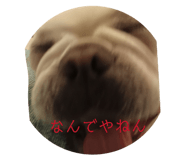 840958243