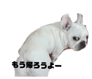 840958247