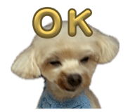 840959042