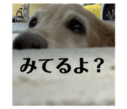 840959793