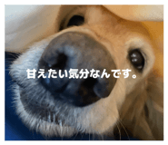840959803