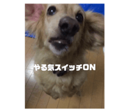 840959804