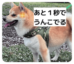 840959907