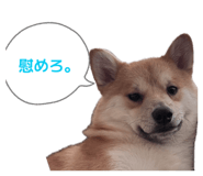 840959908