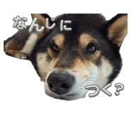 840959988