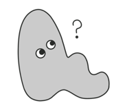 840960258