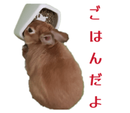 840960281