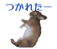 840960287