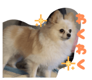 840960696