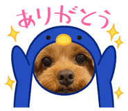 840960971