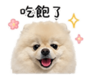 840965277