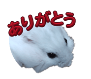 840965674