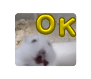 840965676
