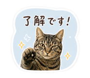 840965761