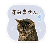 840965763