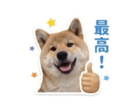 840965817