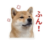 840965818