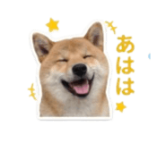 840965822