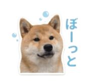 840965823