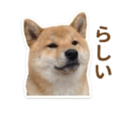 840965825