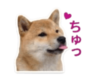 840965827