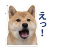 840965828