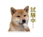 840965829