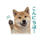840965830