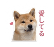 840965831