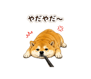 840966066