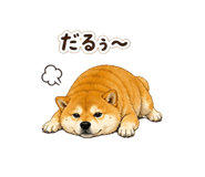 840966074