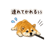 840966077