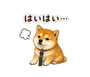 840966079
