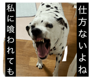 840966395