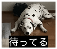 840966408